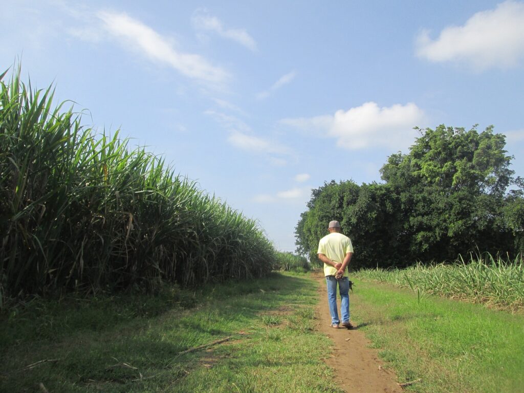 wandelmeditatie