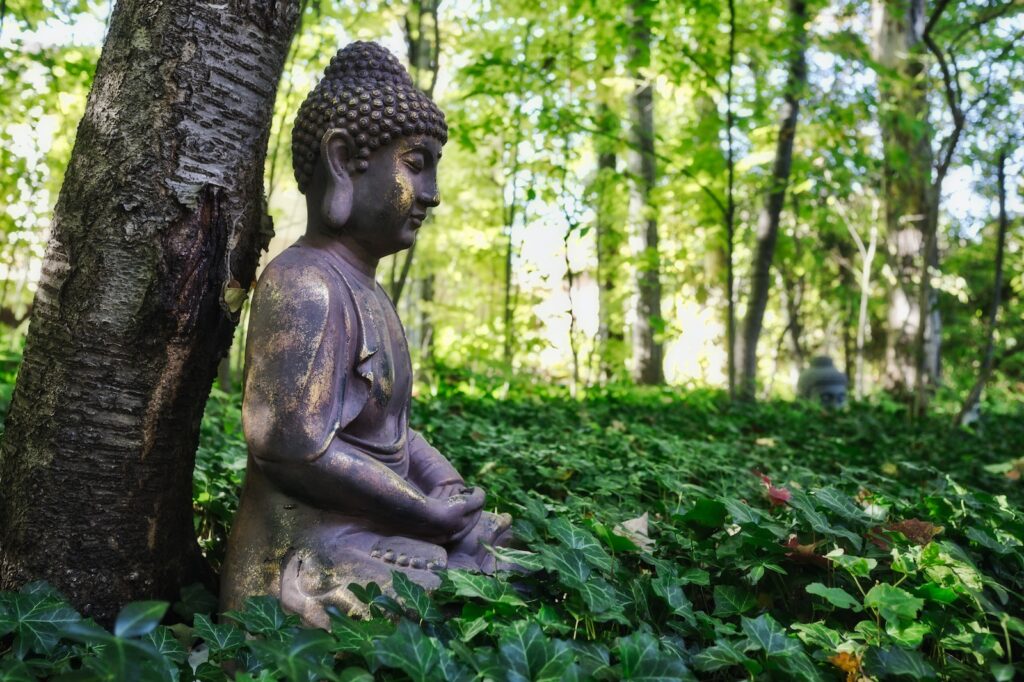 shallow focus photo of Gautama Buddha figurine