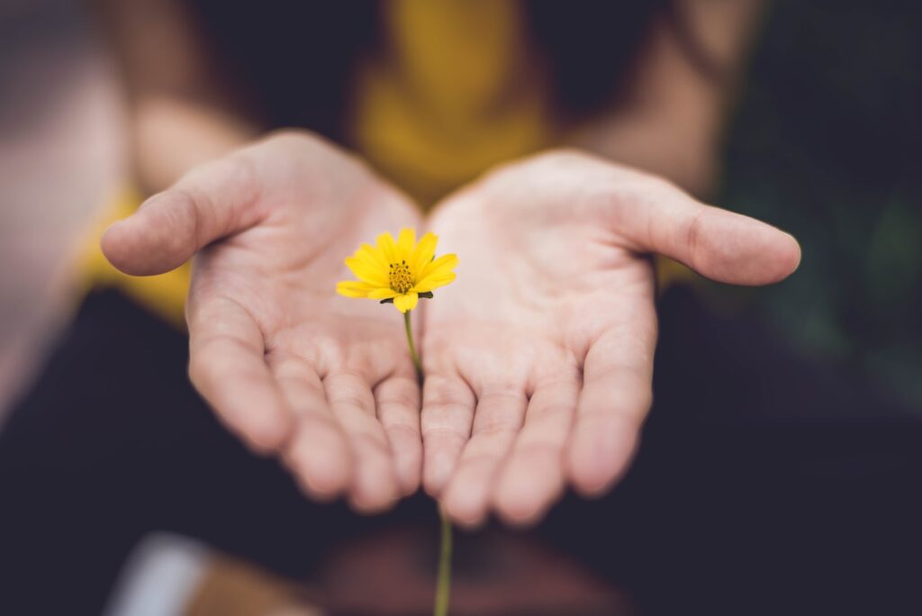 mindfulnessselective focus photography of woman holding yellow petaled flowers